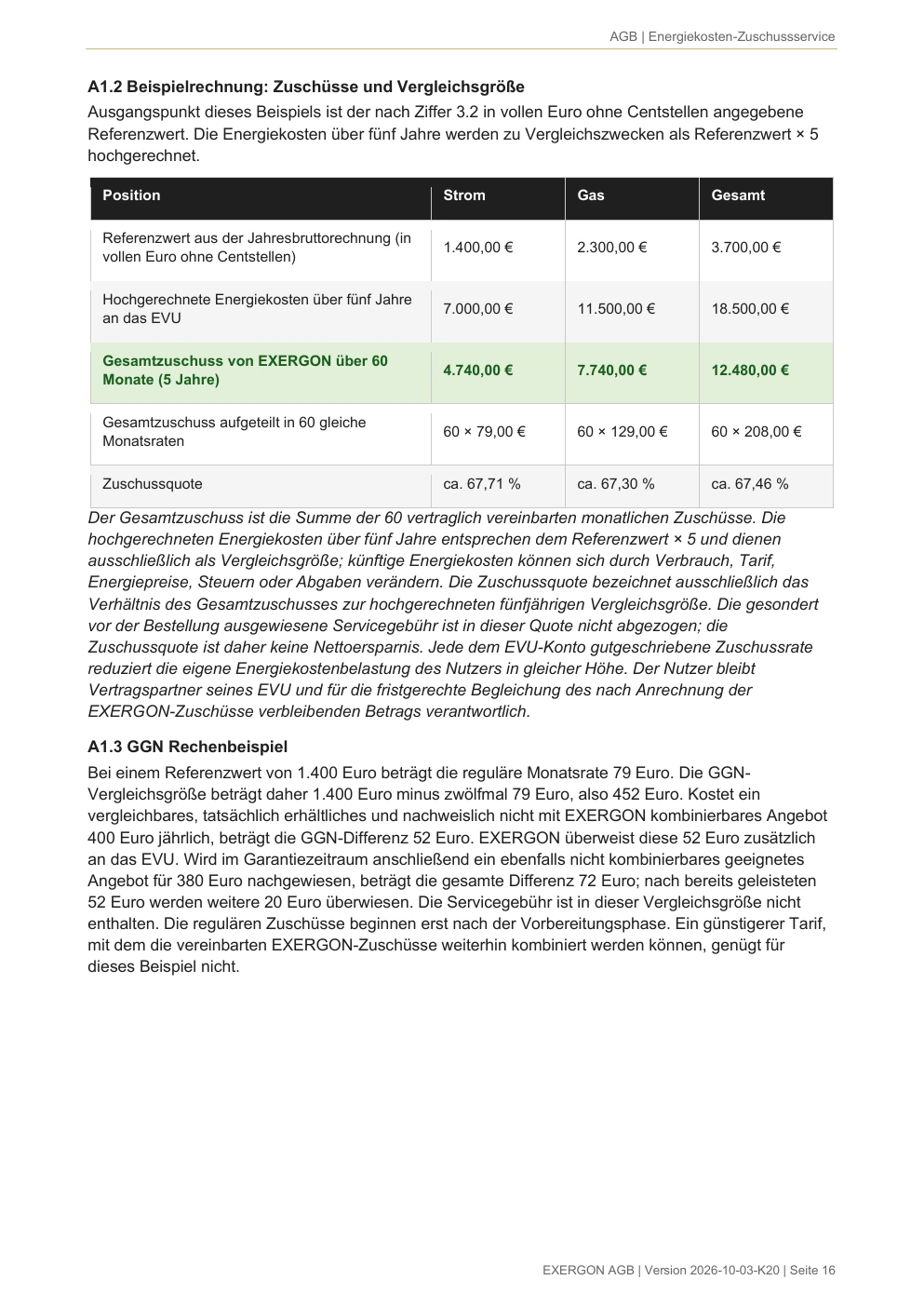 EXERGON Nutzungsbedingungen - Seite 16 von 17